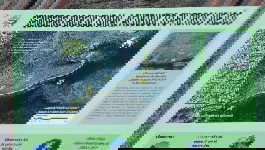 Sign in Los Filtros Viejos