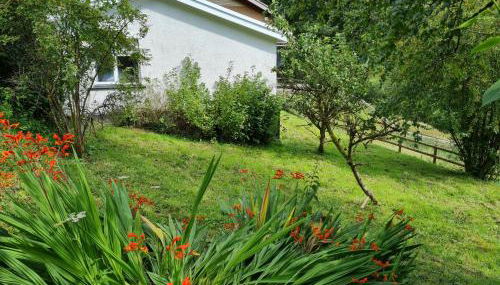 Cottage, Pontsticill, Brecon Beacons - Foto 3, Garden view
