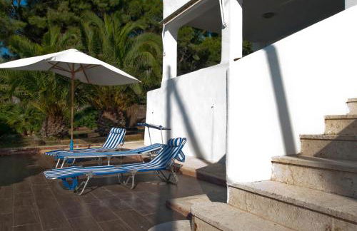 Sargantana Blava - Foto 10