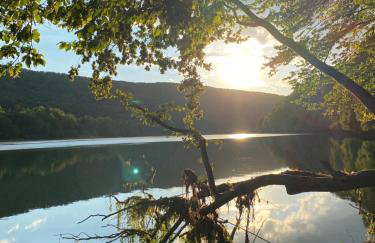 elements - Solina, z sauną - Foto 14