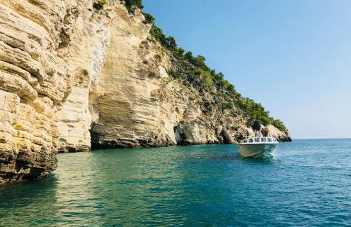 Belvedere Home - Foto 47