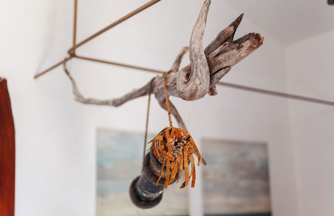 Sunset Samana - pool & private beach - Photo 34