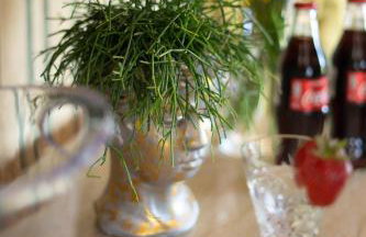 Stacja Galicja - nocleg w pociągu blisko Energylandia - Foto 42