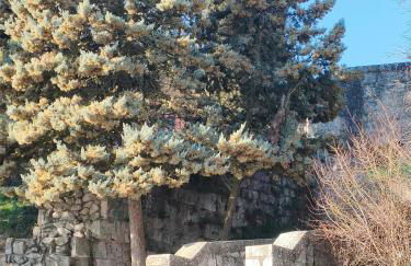 La Antigua Muralla - Foto 1