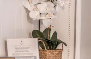 Near Downtown, Shelby Parks Farm - Haddington Home - Foto 39