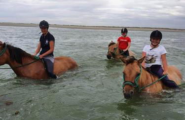 Superbe appartement cosy, à 50m de la plage, 4 pers - Foto 16