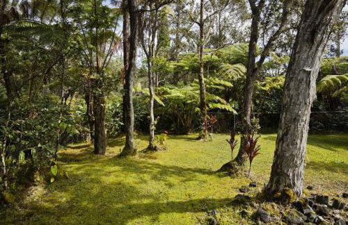 Romantic Retreat, Relax at Hot-tub, Indoor & Outdoor shower, firepit, 5 min to Hawaii Volcano park - Foto 53