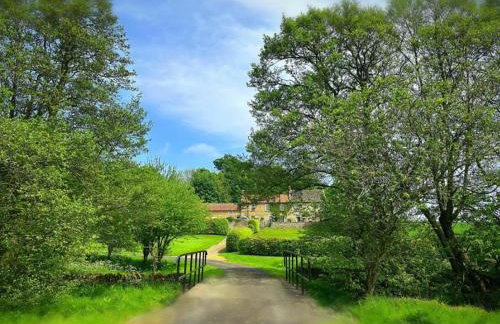 Old Orchard Cottage - Foto 11