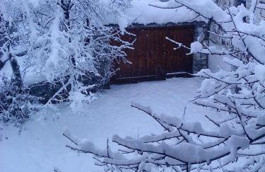 Ginî Viñis - Foto 33