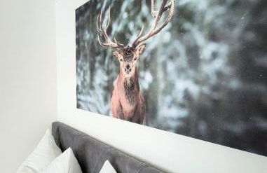 Ferienwohnung Alpinstar - inklusive Oberstaufen Plus - Photo 6