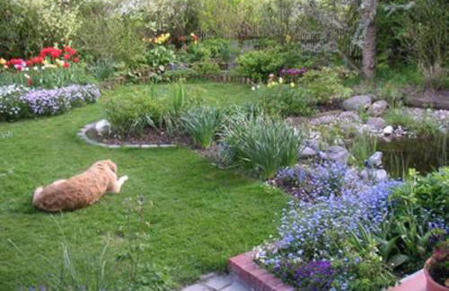 My sweet home Aptm 80 qm - Foto 13