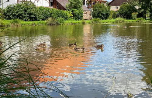 Ferienwohnung Ava - Heiligkreuztal - Foto 30