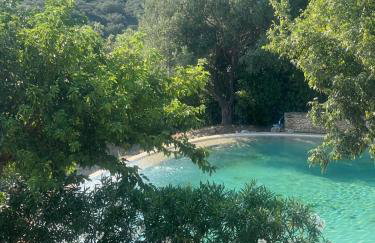 Villa 10 P piscine lagon avec vue époustouflante proche Uzès - Foto 1