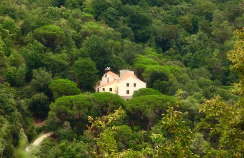 Le Petit Chateau - Foto 3