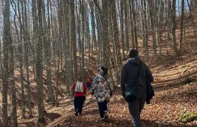 Mamali Guesthouse - Photo 17