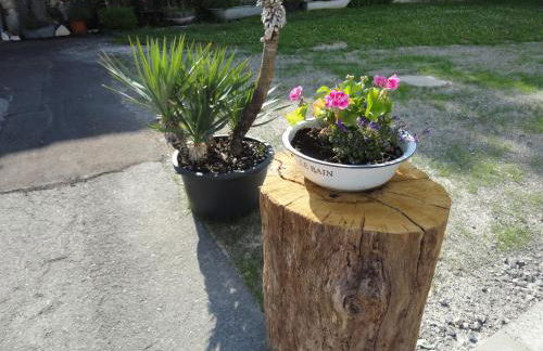 Gasthof Reiterstuben - Foto 36