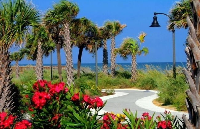 Seaside Resort 1003 - Foto 60