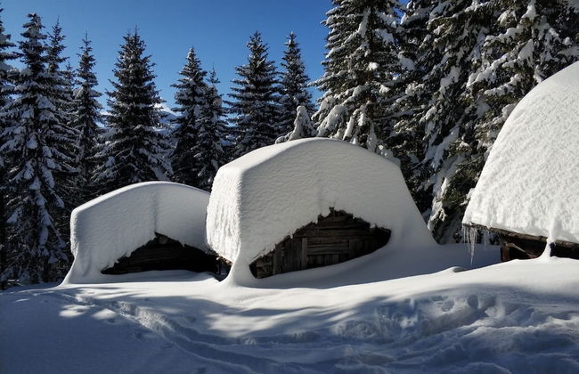 Mascherhof - Foto 43