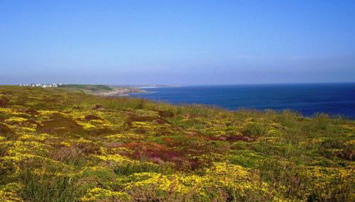 P'ty gîte de Bréharadec - Foto 4