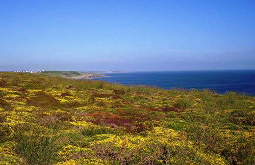 P'ty gîte de Bréharadec - Foto 4