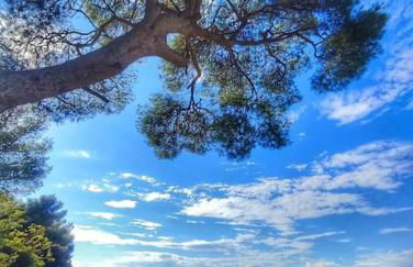 LA MAISON FAYARD - 3 pers - Centre Clim Wifi Cosy Garage - Foto 40