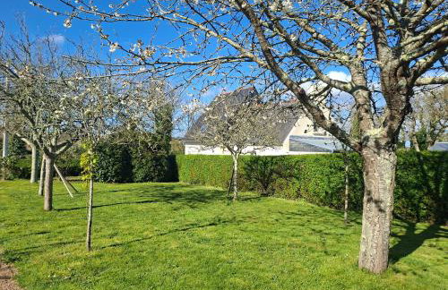 Le Phare Ouest - Foto 6