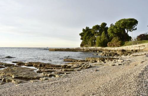 Apartment Enea 1 by Interhome - Foto 33