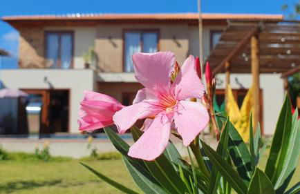 Casa Canto do Bem-te-vi - Photo 68