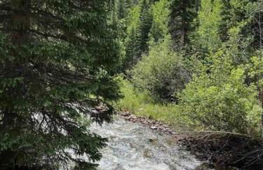 Classic Log Cabin near Rocky Mountain National Park and near Skiing - Foto 29