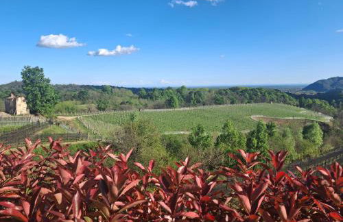 La ca' dal Tunec - Foto 24