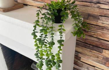 Escapade poitevine - Maison climatisée avec 3 Ch - 4 min Futuroscope et Aquascope - Foto 63