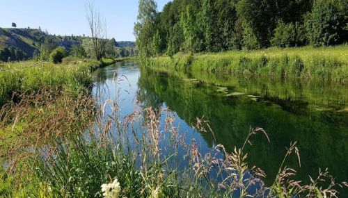 Ferienwohnung Am Eselsburger Tal - Foto 4