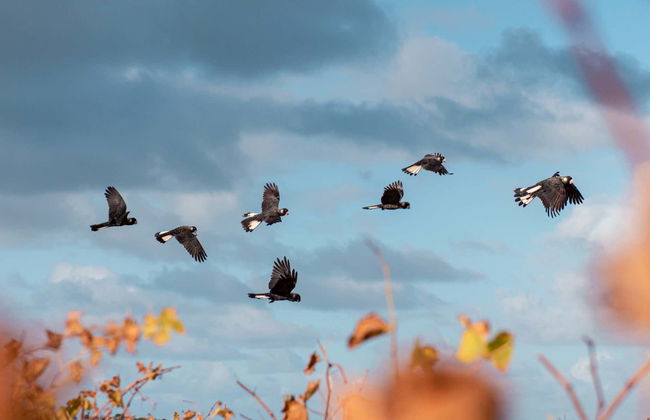 Tour gastronomico di Augusta Margaret River - Foto 1