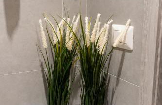 Suite Gli Ulivi - Foto 17