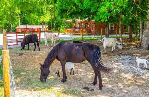 Almost Heaven Farmers Paradise on 50 Acres! - Foto 33