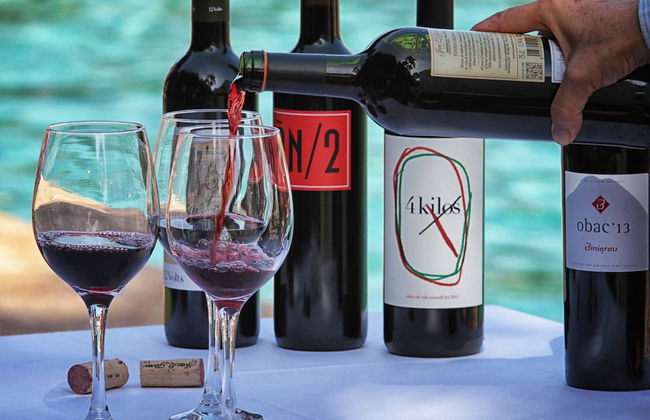 Hotel Sa Bassa Rotja Ecoturisme - Foto 50