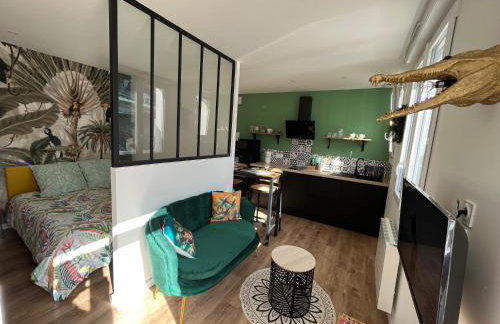STUDIO JUNGLE - HYPEr CENTRE LORIENT - Foto 1