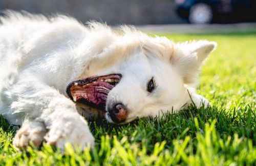 Heliophos Villa Amalthia - Foto 56