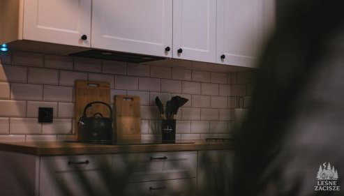 Leśne Zacisze - dom na wsi z grotą solną, sauną oraz balią ogrodową - Foto 4, stove