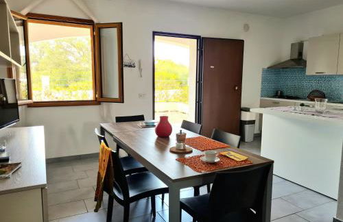 Binja Fortuna - Foto 5