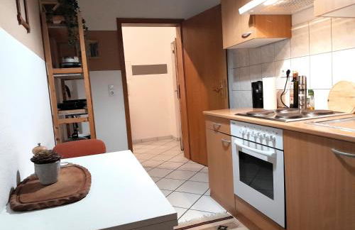 Spacious Home in Old-West - Leutsch - Foto 24