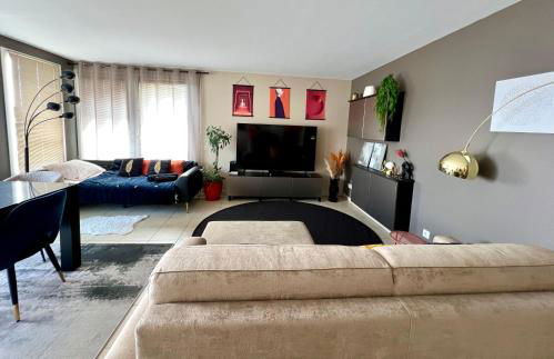 Appartement climatisé 3 étoiles T3 chic à Strasbourg avec billard et terrasse - Foto 2