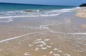 Las Dos Orillas - Photo 21