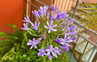 Appartamento Corte Antica con splendida Jacuzzi - Foto 38