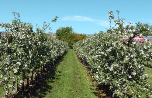 Maisonette am See - Foto 36