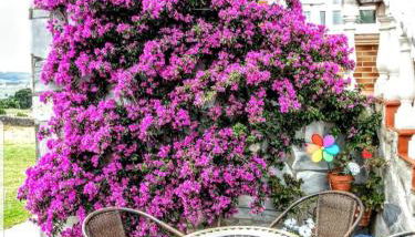 Apartamentos La Pradera de Isla - Foto 2, Internal: Not applicable to any particular room