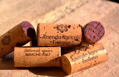 Agriturismo Fiorano - Foto 74