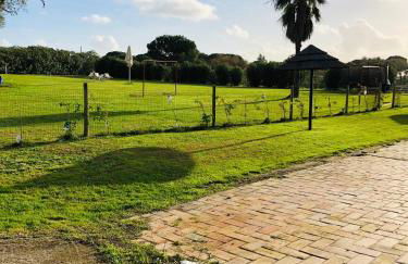 Monte do Lago, Pegões - Foto 47