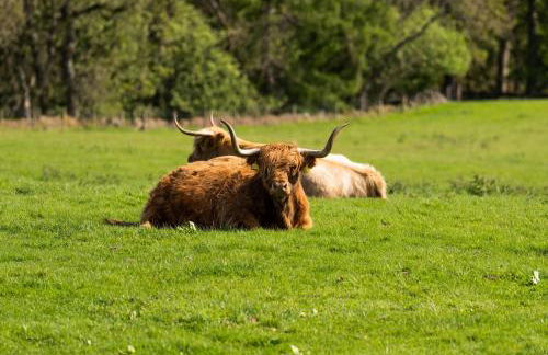 Modern and Stylish WoodHous - Photo 27