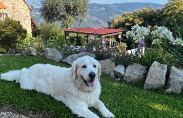 Cedrim Hillside - Foto 56